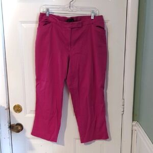 George Brand Magenta Pants Zip Up Button Closure Stretch 16W